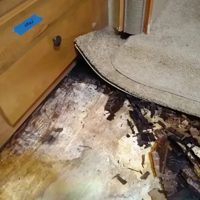 Best Wood Floor Water Damage Service in Keystone Heights, FL